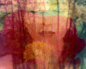 Composing, portrait of a woman and forest Composing, portrait of a woman and forest